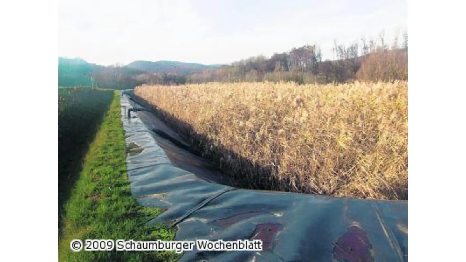 Echtes Vorzeigeprojekt mit guten Perspektiven (Foto: tt)