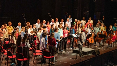 Bei einem Auftritt: Das Orchester des Conservatoire de Flers Agglo. (Foto: arnophotofrance)