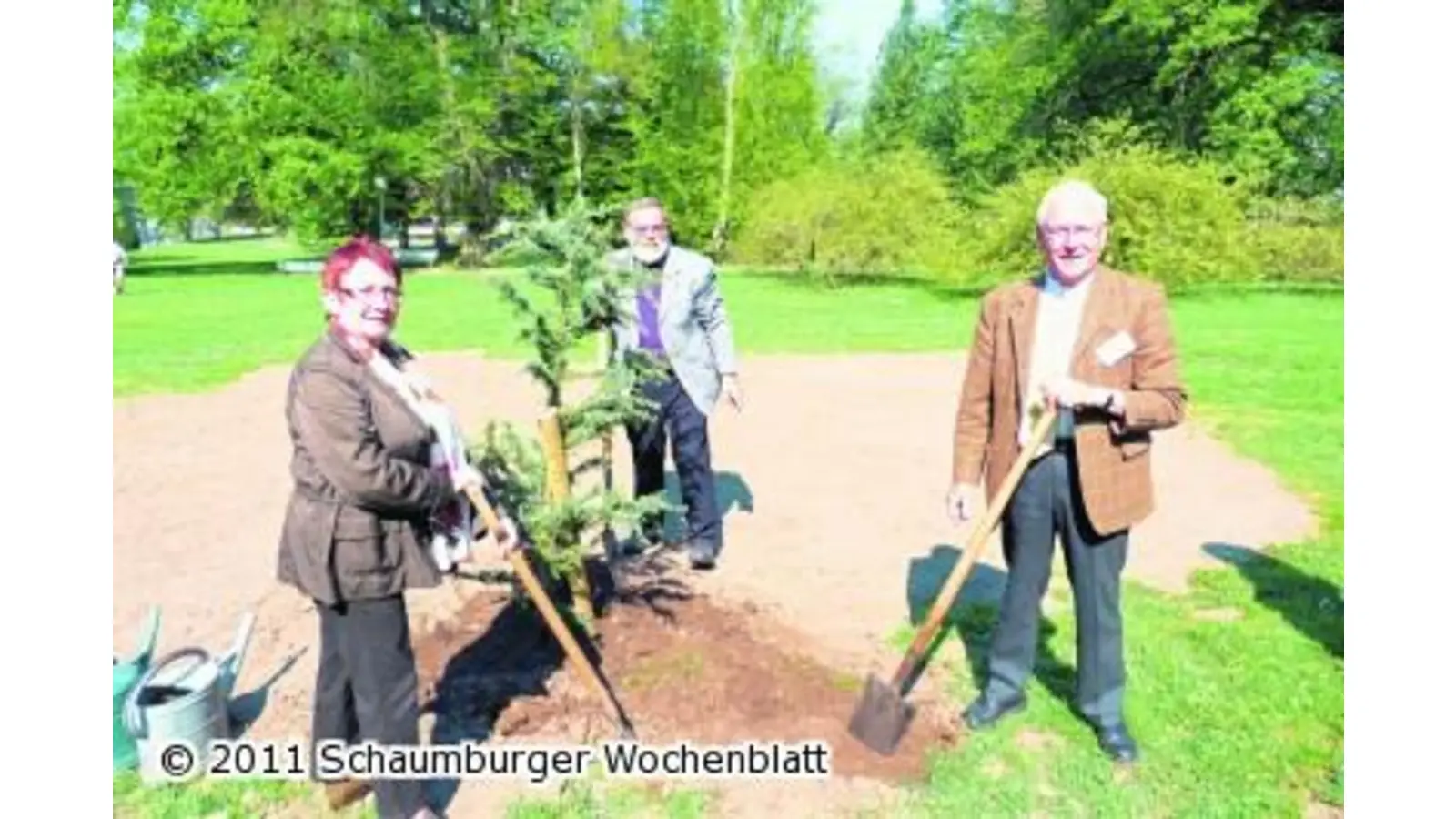 Junges Grün für ein frischeres Flair (Foto: red)