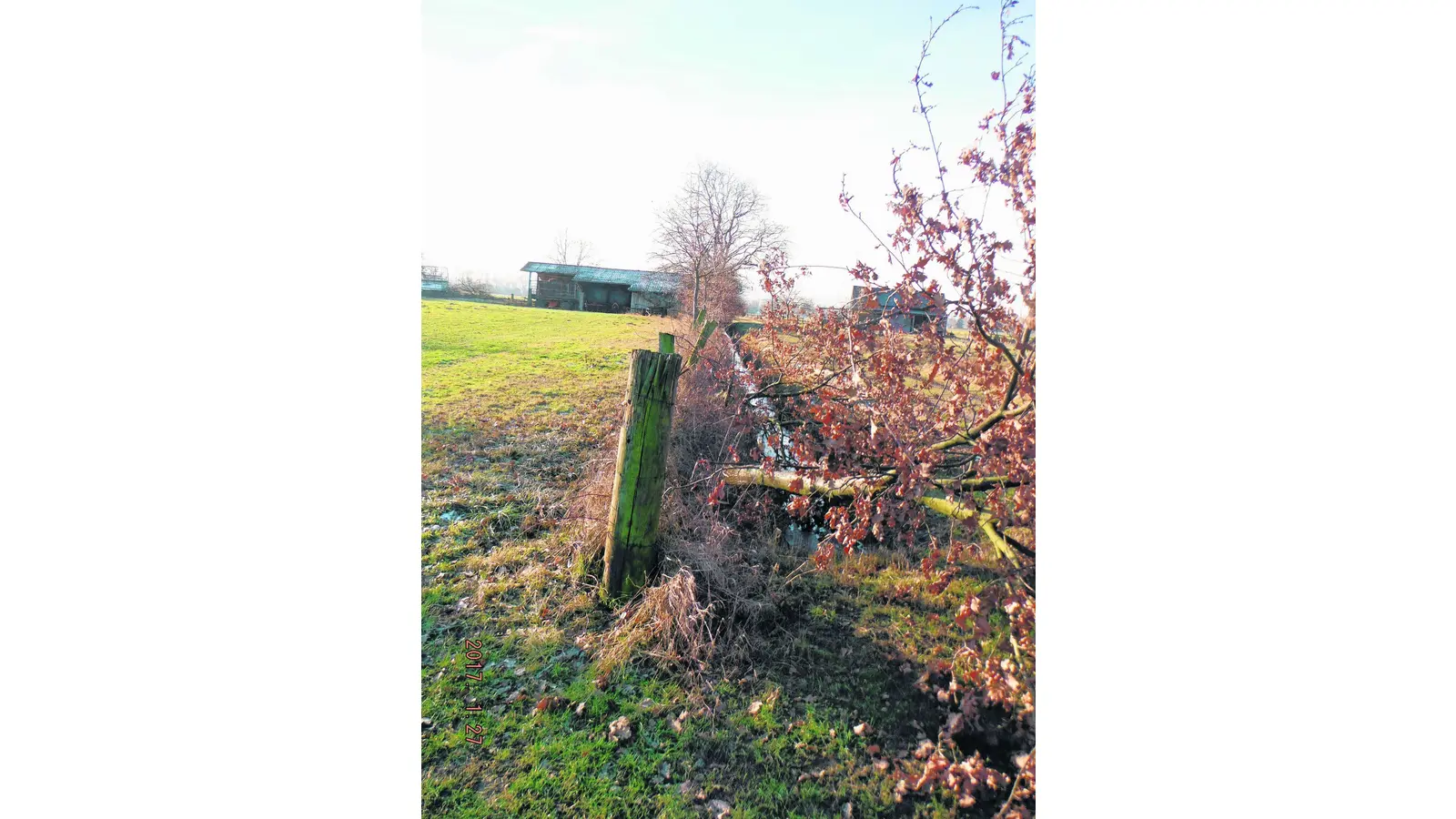 Baumfrevel im Landschaftsschutzgebiet (Foto: red)
