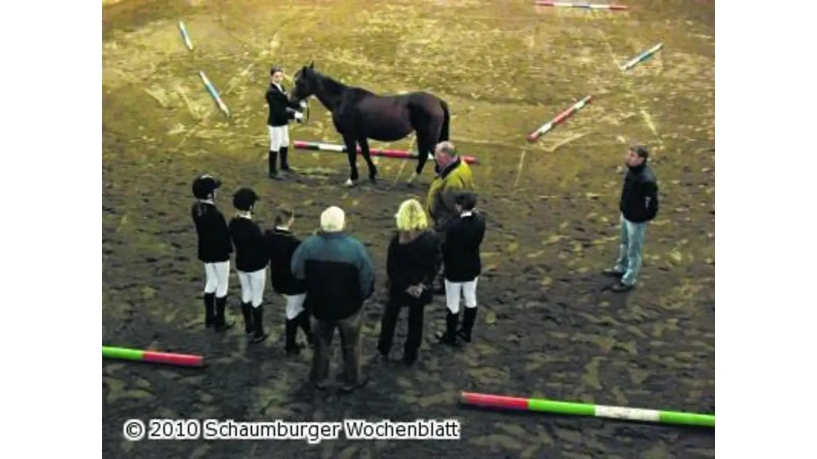 Den Führerschein für das Pferd erwerben (Foto: wa)