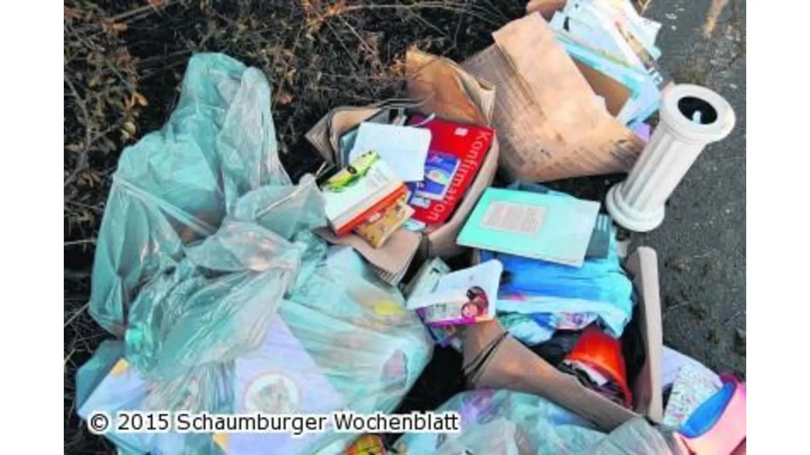 Illegal Müll entsorgt (Foto: em)