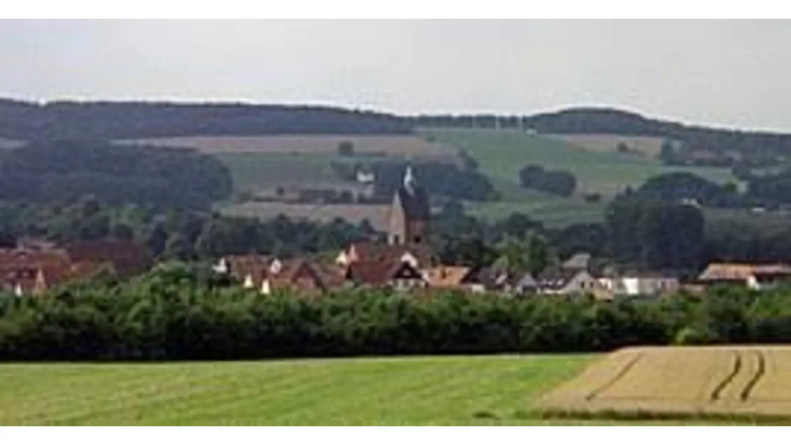 Der Heimatbund der Grafschaft Schaumburg lädt zum Wandern ein. (Foto: privat)