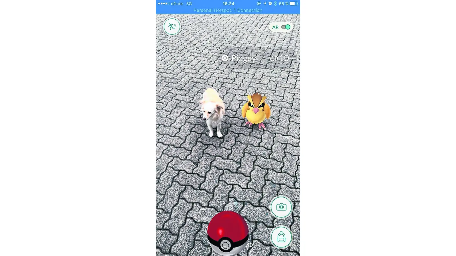 Augmented Reality (Foto: red)