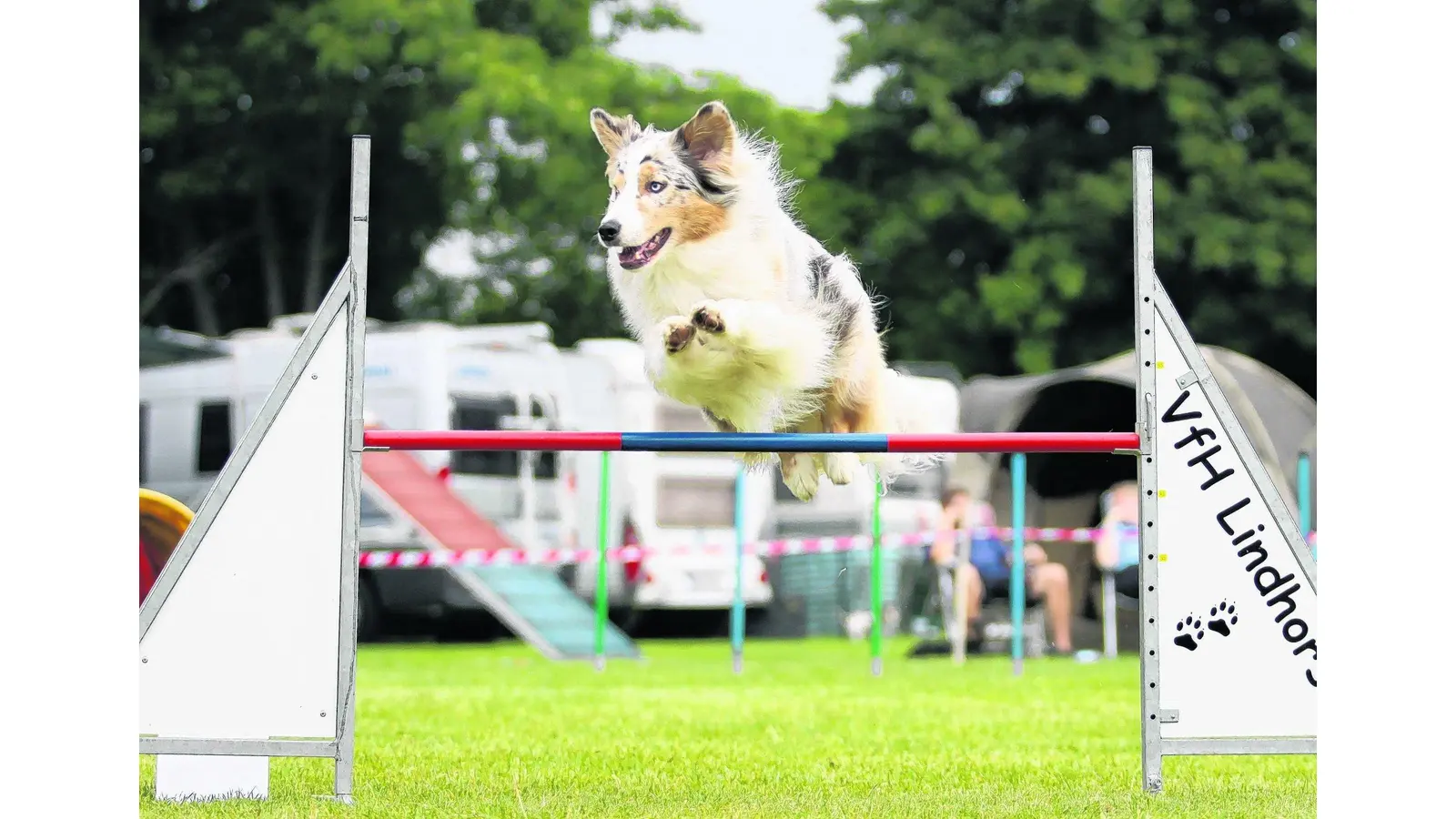 Neuer Agility-Anfängerkurs (Foto: bb)