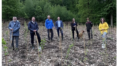 Auf dem Foto von links nach rechts:<br>Frank Schulz, Regionaldirektor Volksbank Hameln-Stadthagen<br>Patrick Eschert, Prokurist Volksbank Hameln-Stadthagen<br>Michael Welsch, Forstgenossenschaft&nbsp;Afferde<br>Michael Joop, Vorsitzender des Vorstands, Volksbank Hameln-Stadthagen<br>Antonia Mente, Nachhaltigkeitsmanagerin, Volksbank Hameln-Stadthagen<br>Dietrich Ostermeier, Bezirksförster,&nbsp;Bezirksförsterei Hameln<br>Maren Szymiczek,&nbsp;Geschäftsführerin&nbsp;Schutzgemeinschaft Deutscher Wald,&nbsp;Landesverband Niedersachsen e.V. (Foto: privat)