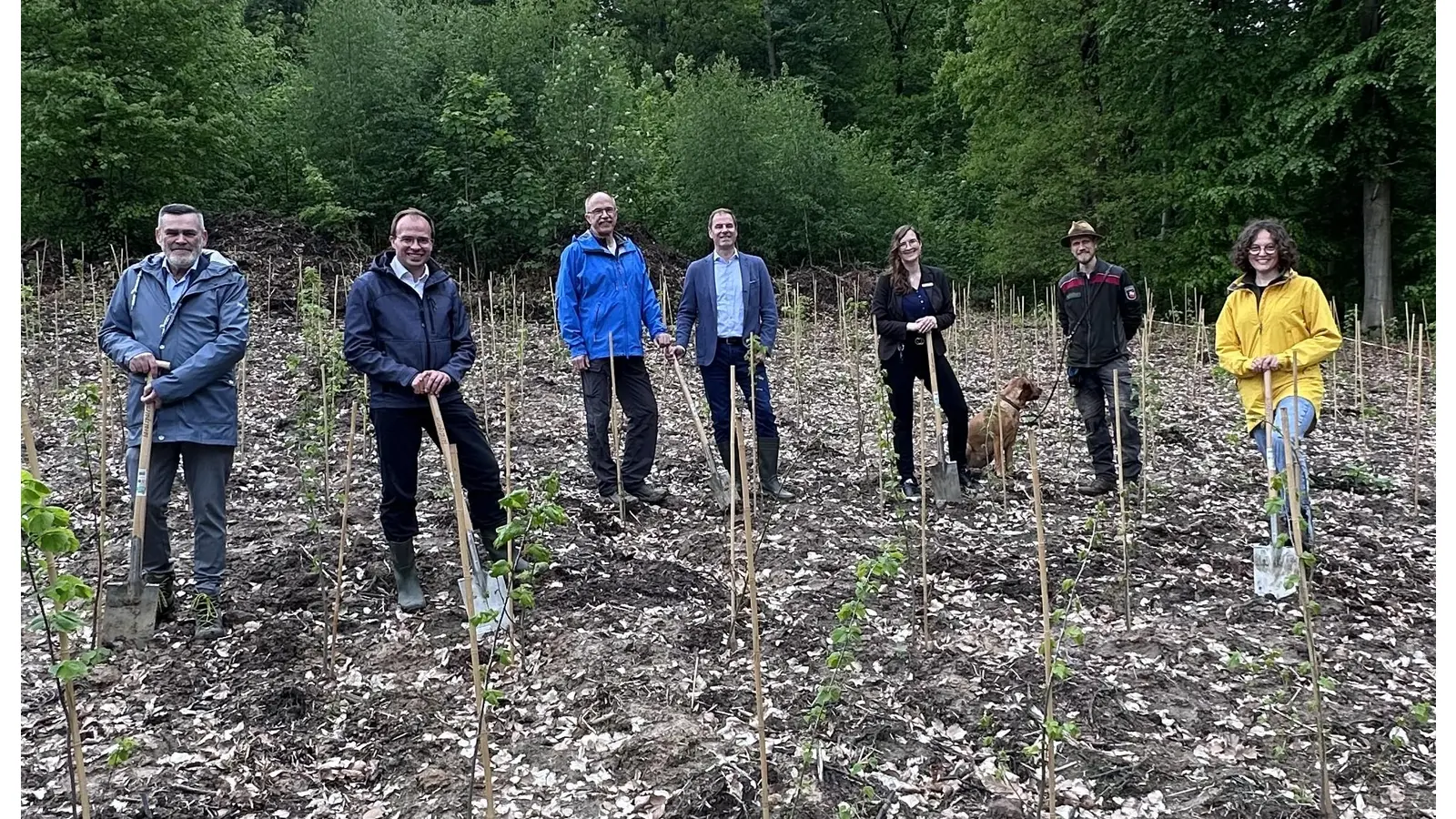 Auf dem Foto von links nach rechts:<br>Frank Schulz, Regionaldirektor Volksbank Hameln-Stadthagen<br>Patrick Eschert, Prokurist Volksbank Hameln-Stadthagen<br>Michael Welsch, Forstgenossenschaft&nbsp;Afferde<br>Michael Joop, Vorsitzender des Vorstands, Volksbank Hameln-Stadthagen<br>Antonia Mente, Nachhaltigkeitsmanagerin, Volksbank Hameln-Stadthagen<br>Dietrich Ostermeier, Bezirksförster,&nbsp;Bezirksförsterei Hameln<br>Maren Szymiczek,&nbsp;Geschäftsführerin&nbsp;Schutzgemeinschaft Deutscher Wald,&nbsp;Landesverband Niedersachsen e.V. (Foto: privat)