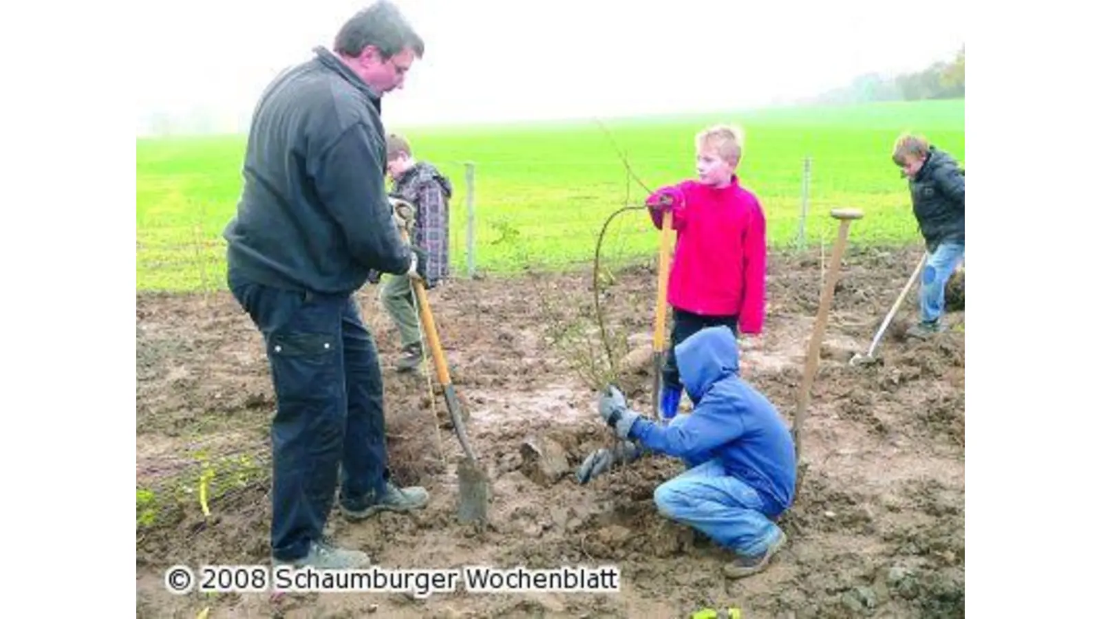 Grüner Gürtel am Aussiedlerhof (Foto: al)