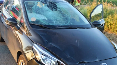 Das Foto zeigt die stark beschädigte Windschutzscheibe. (Foto: privat)