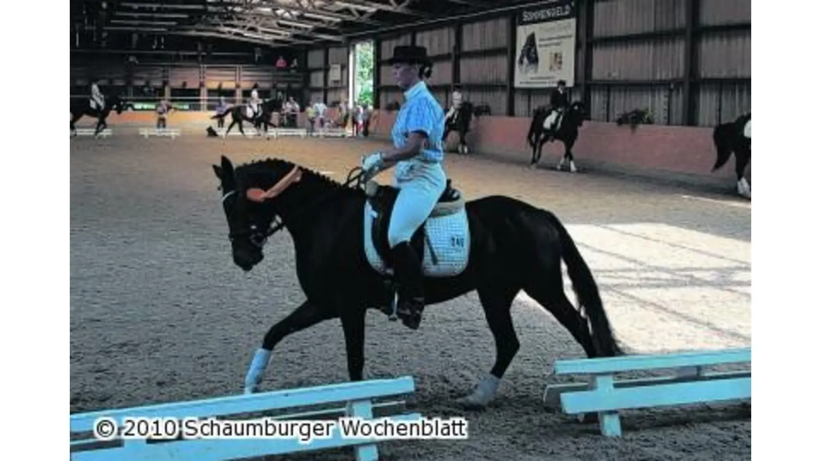 Dressurreiterin auf Erfolgskurs (Foto: mk)
