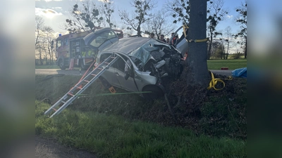 Das Auto hatte den Baum frontal getroffen und die Rettungskräfte sicherten das Fahrzeug gegen umkippen. (Foto: privat)