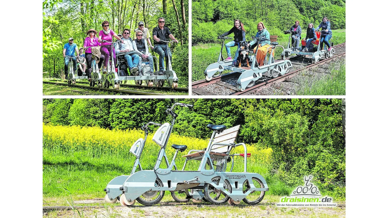 Mit der Draisine in den Herbst sausen (Foto: red)