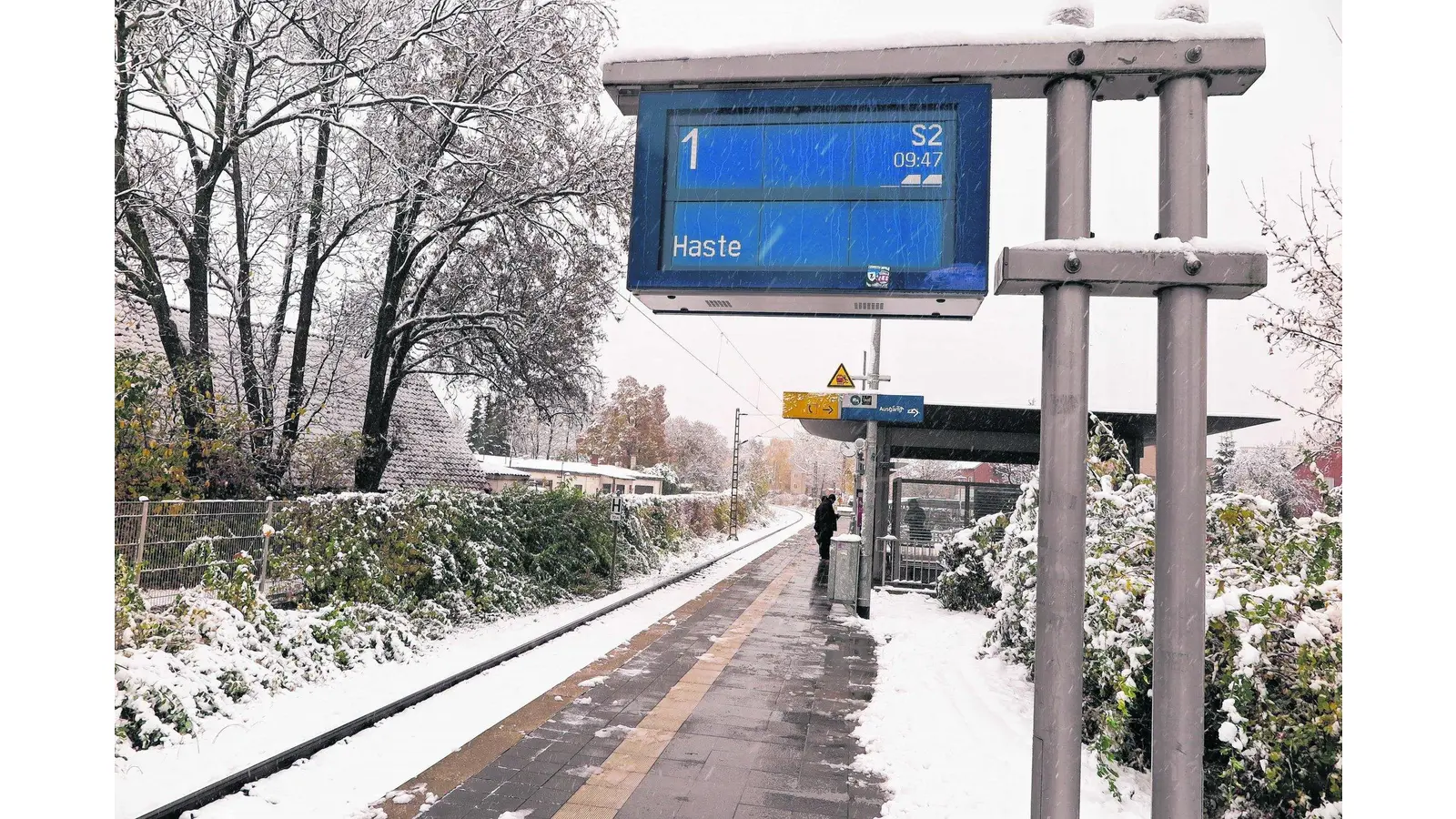 Schnee begräbt den Herbst (Foto: mh)