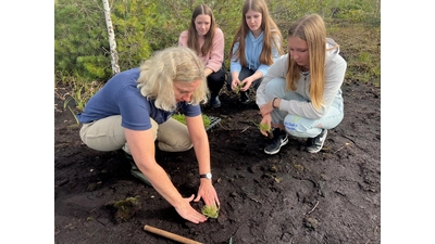 Bei einer Pflanzaktion: Elke Bohm vom Naturpark Steinhuder Meer mit Schülerinnen der Evangelischen IGS. (Foto: Nina-Sandra Graf)