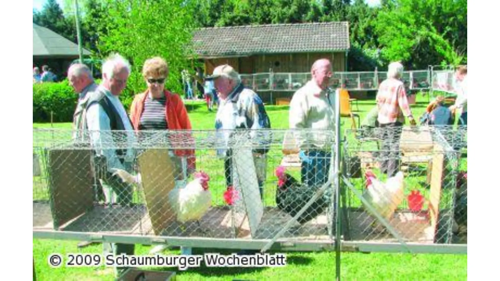25 Jahre Hähnekrähen (Foto: red)