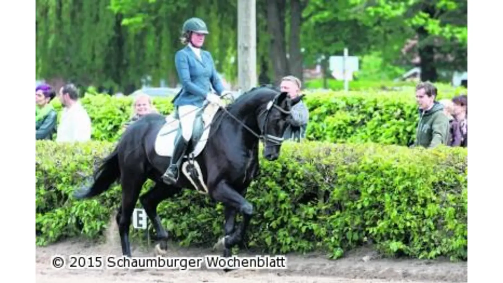 Elegante Bewegungen und kraftvolle Sprünge (Foto: bb)