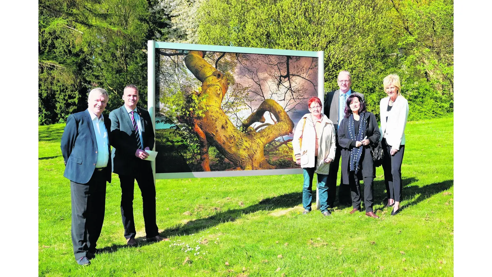 Die Süntelbuchen in ganz unterschiedlichem Licht erleben (Foto: jl)