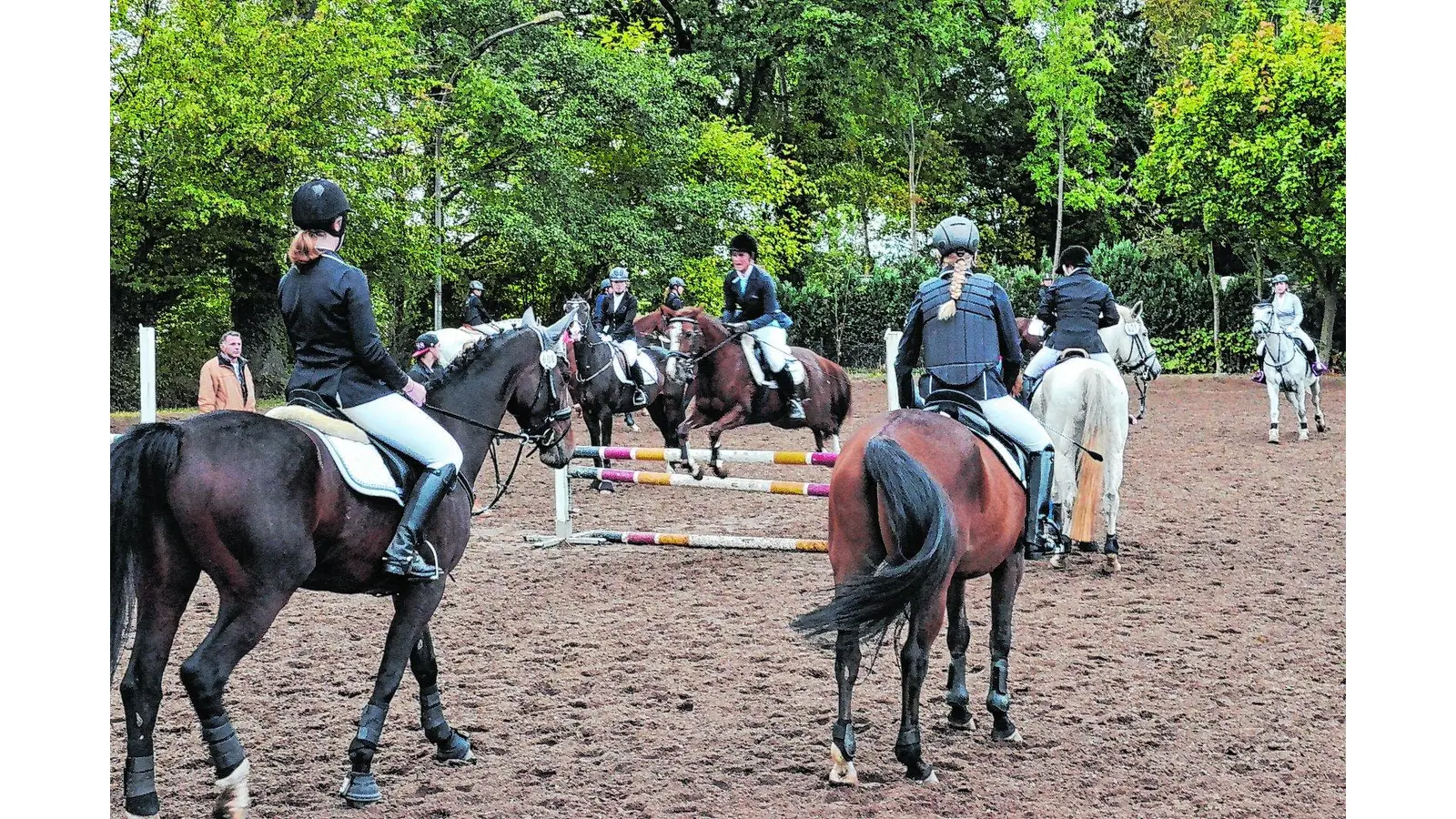 Pferdesportler treffen sich zum Turnier (Foto: bt)