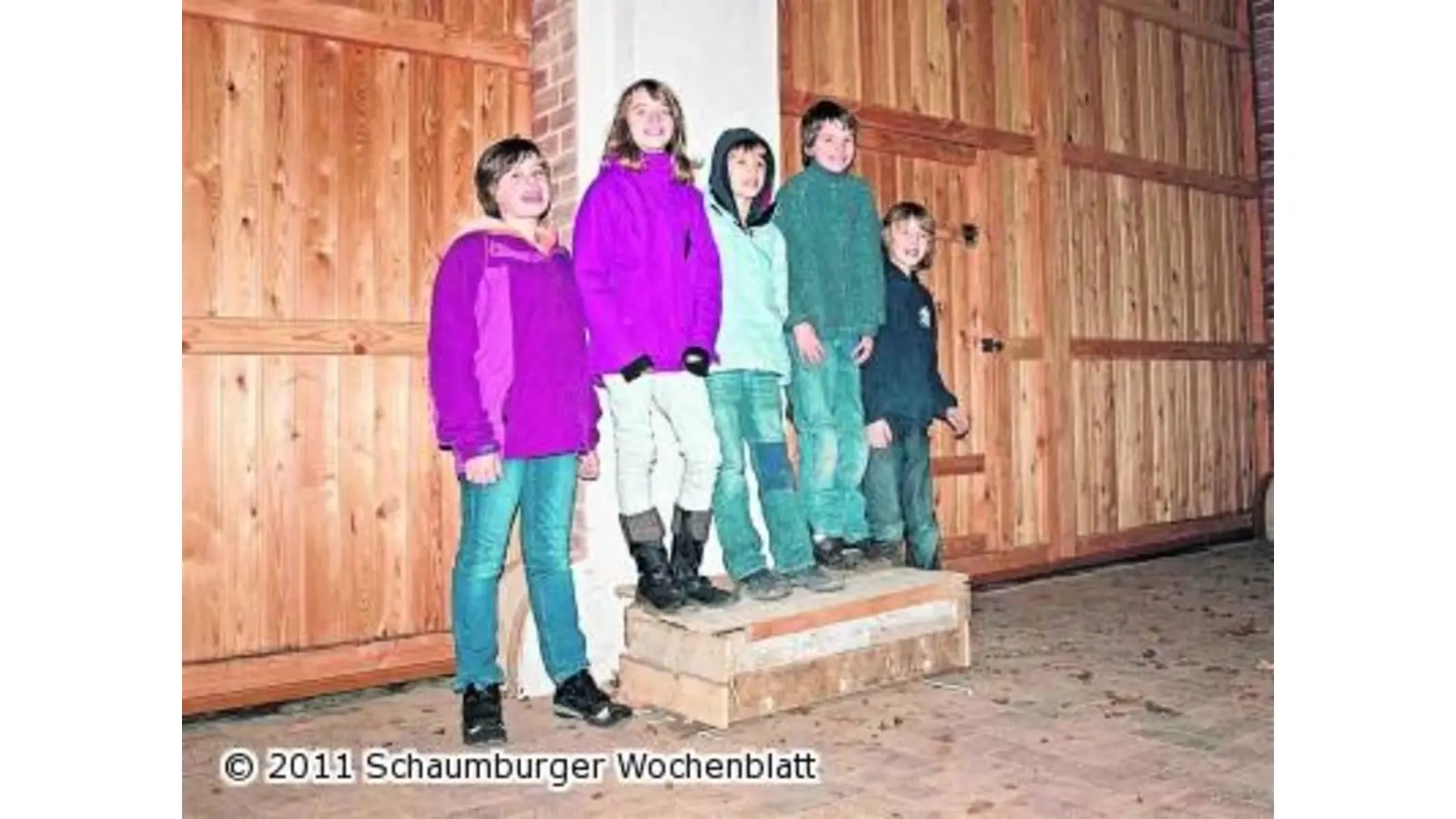 Im Winter finden die Schleiereulen ihre Mäuse in Burgen (Foto: ste)