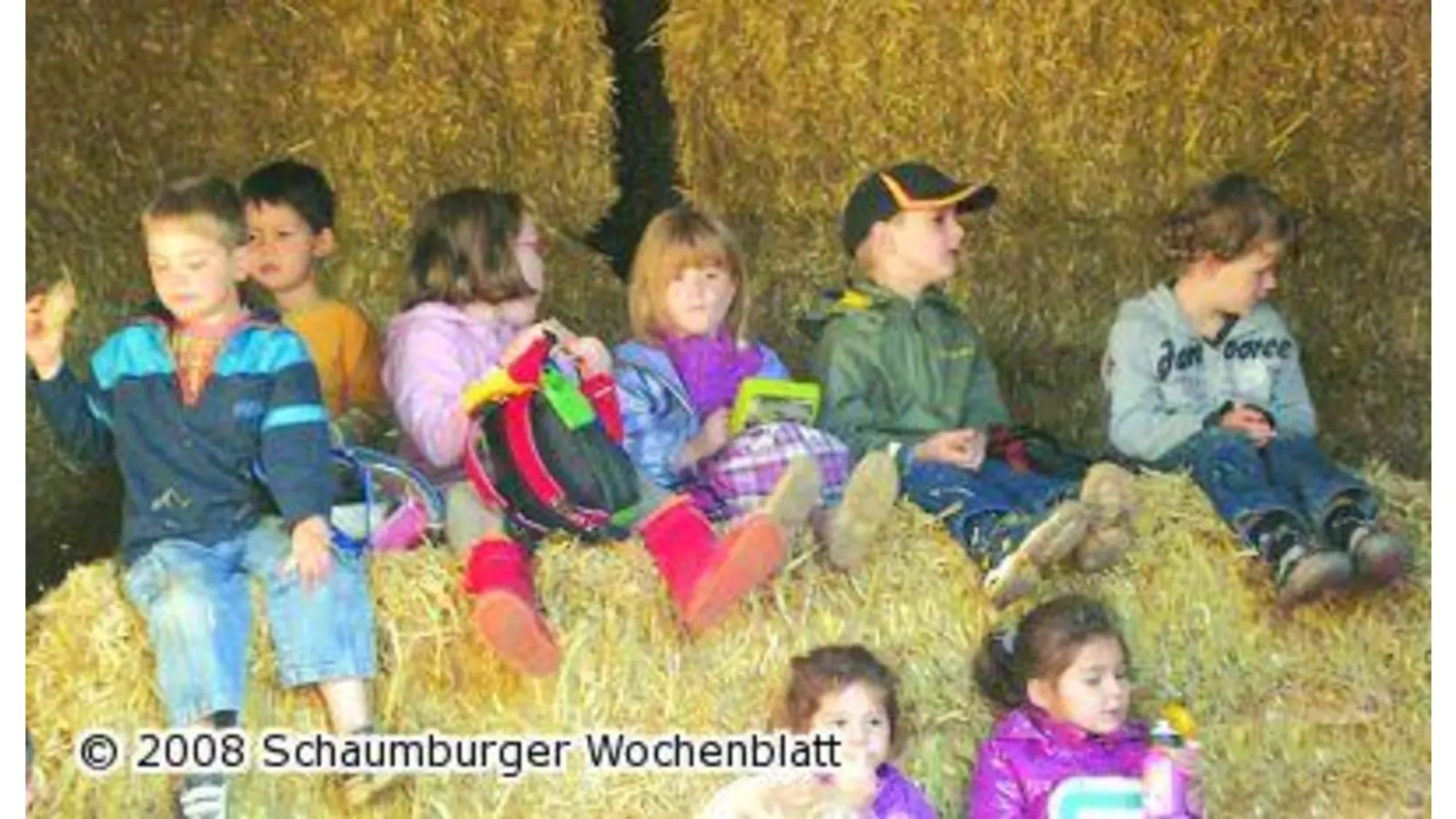 Das Brot vom Korn mal ganz von vorn (Foto: red)