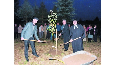 Apfelbäume als Zeichen der Hoffnung (Foto: sk)
