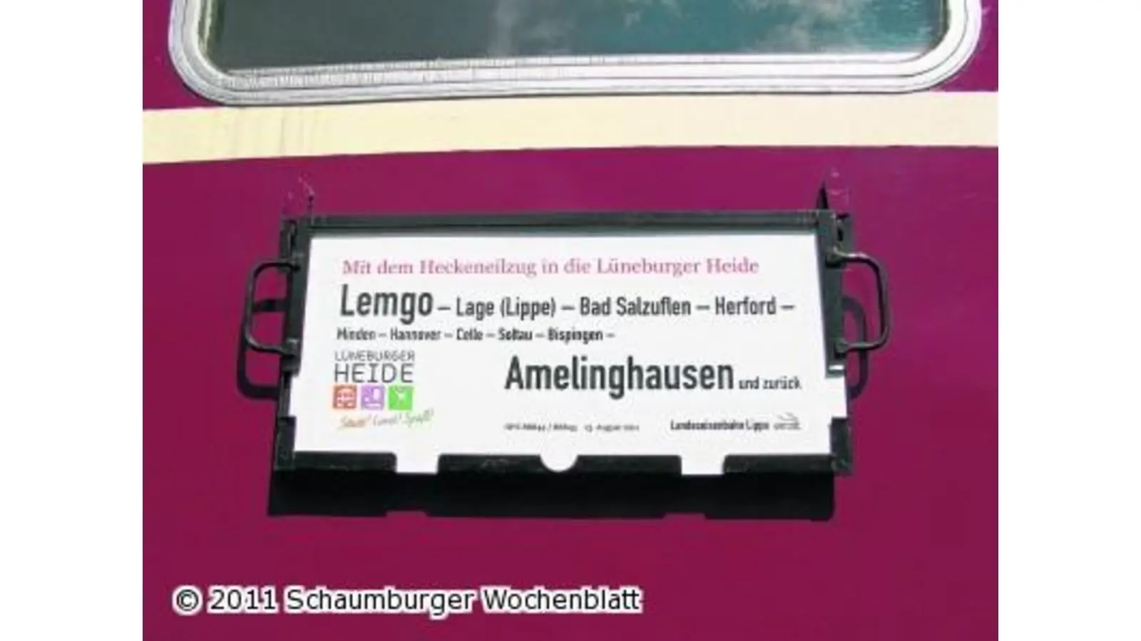 Auf sonniger Fahrt in die blühende Heide (Foto: red)