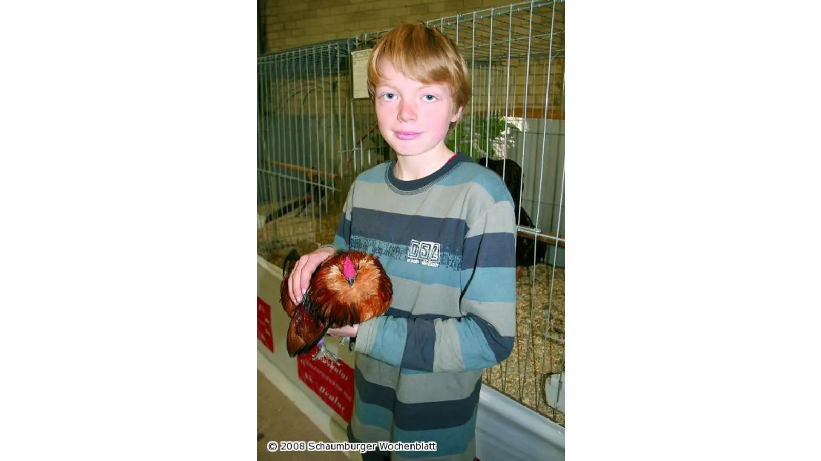 Der Züchter-Nachwuchs bleibt leider aus (Foto: mr)