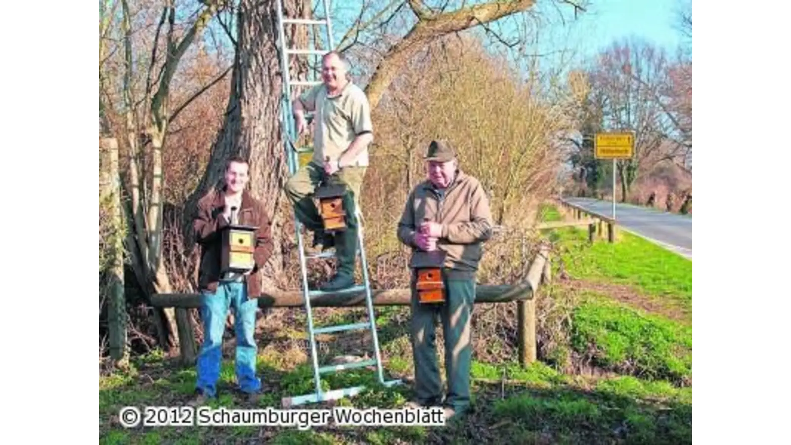 Greifvogelkrücken und Nisthilfen in den Rintelner Wiesen erstellt (Foto: ste)