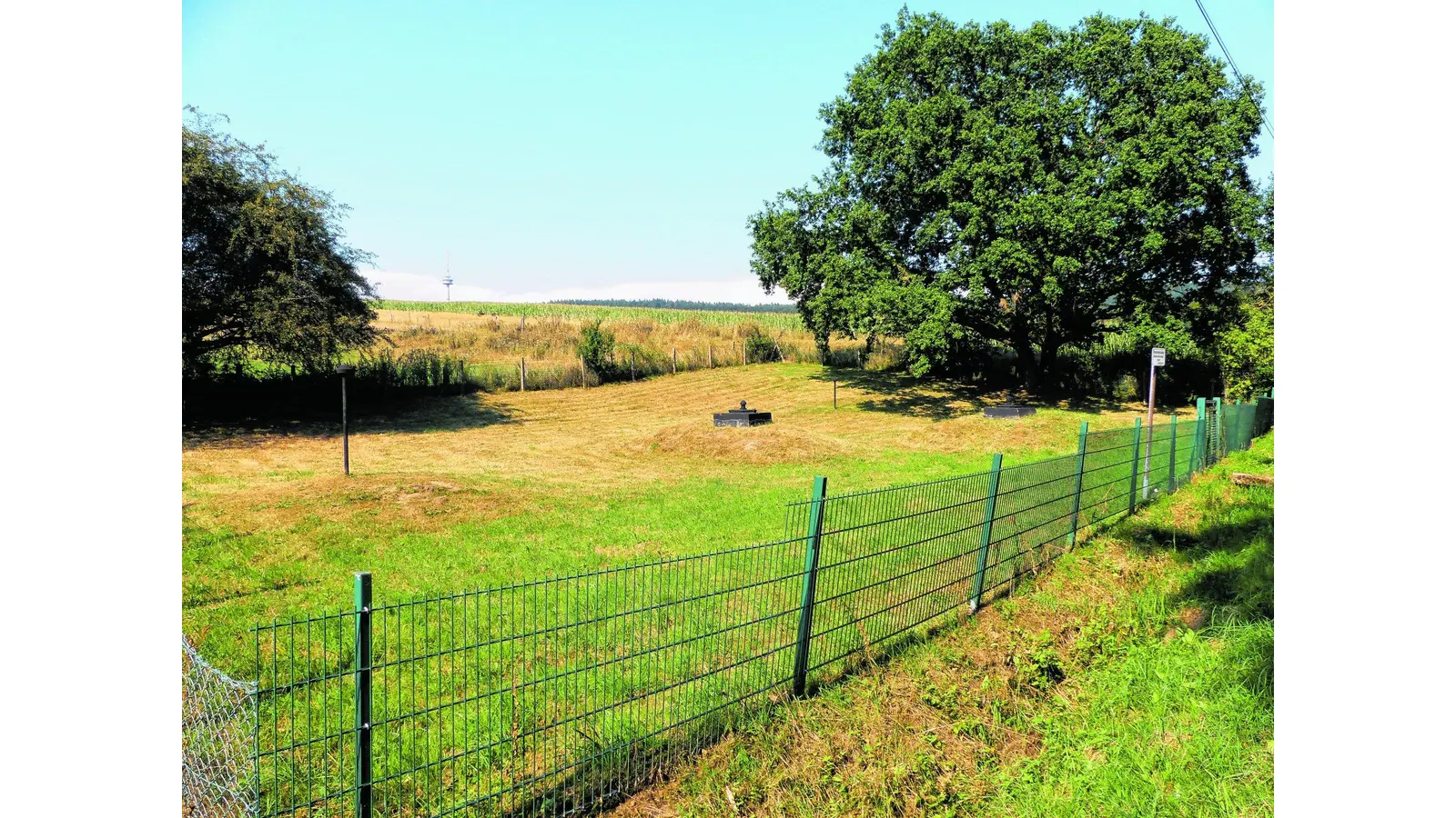Nach der Krise folgen Konsequenzen (Foto: al)