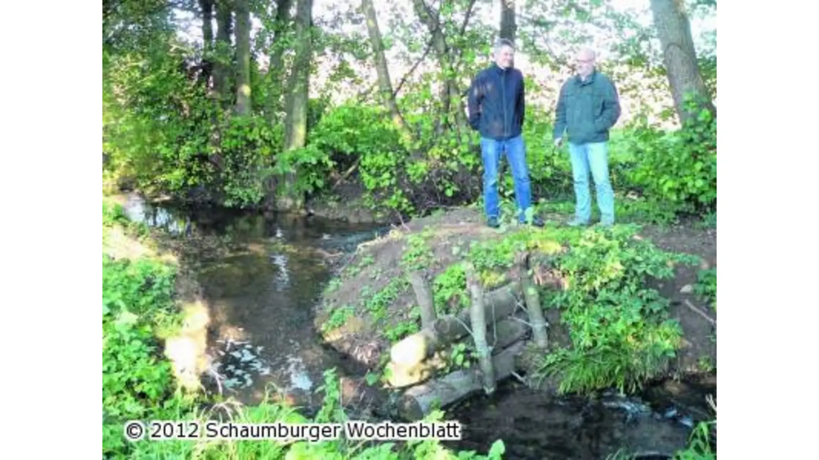 Totholz soll für mehr Leben im Wasser sorgen (Foto: al)