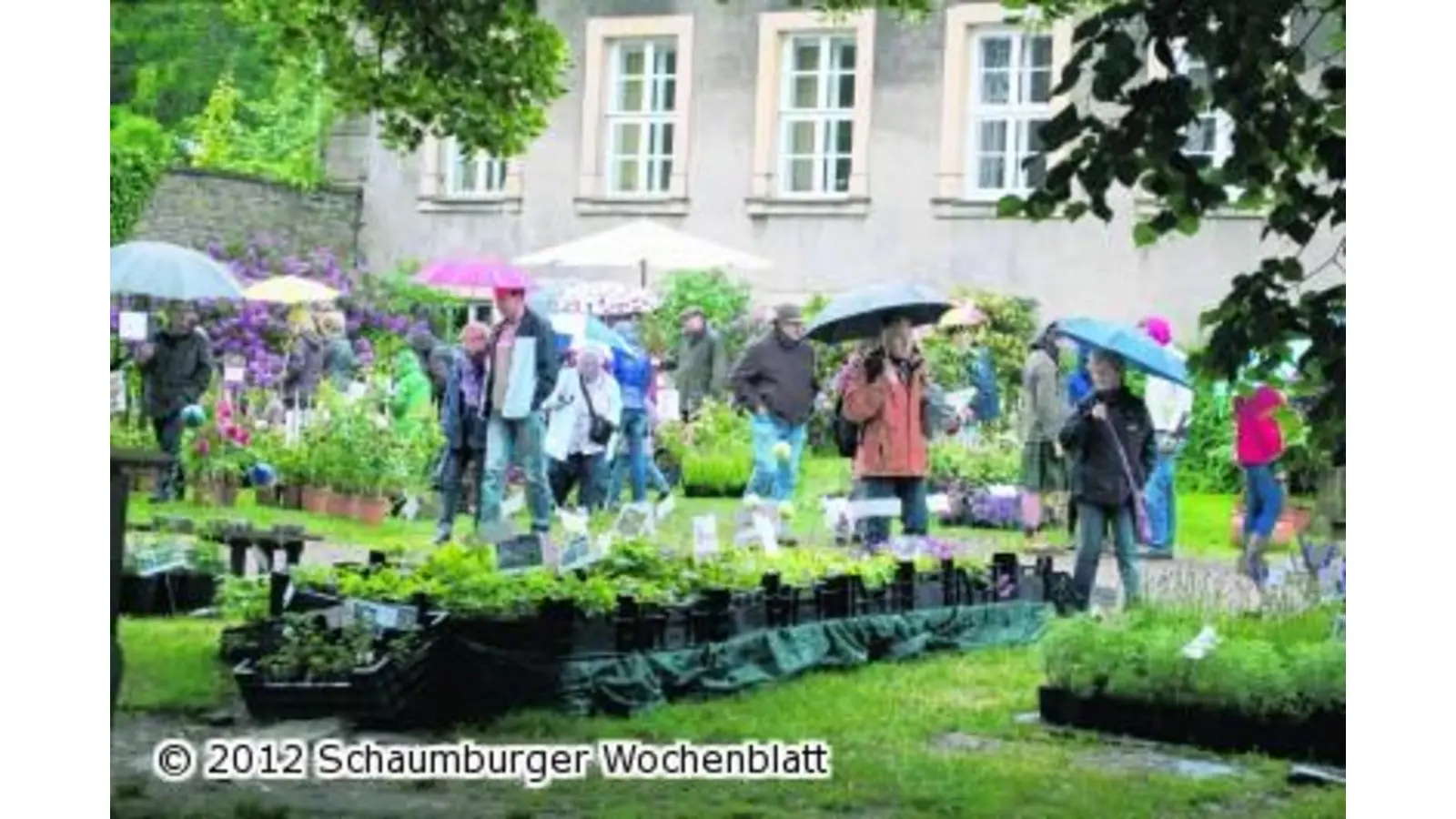 Bunte Kultur und viel britischer Konsens (Foto: wa)