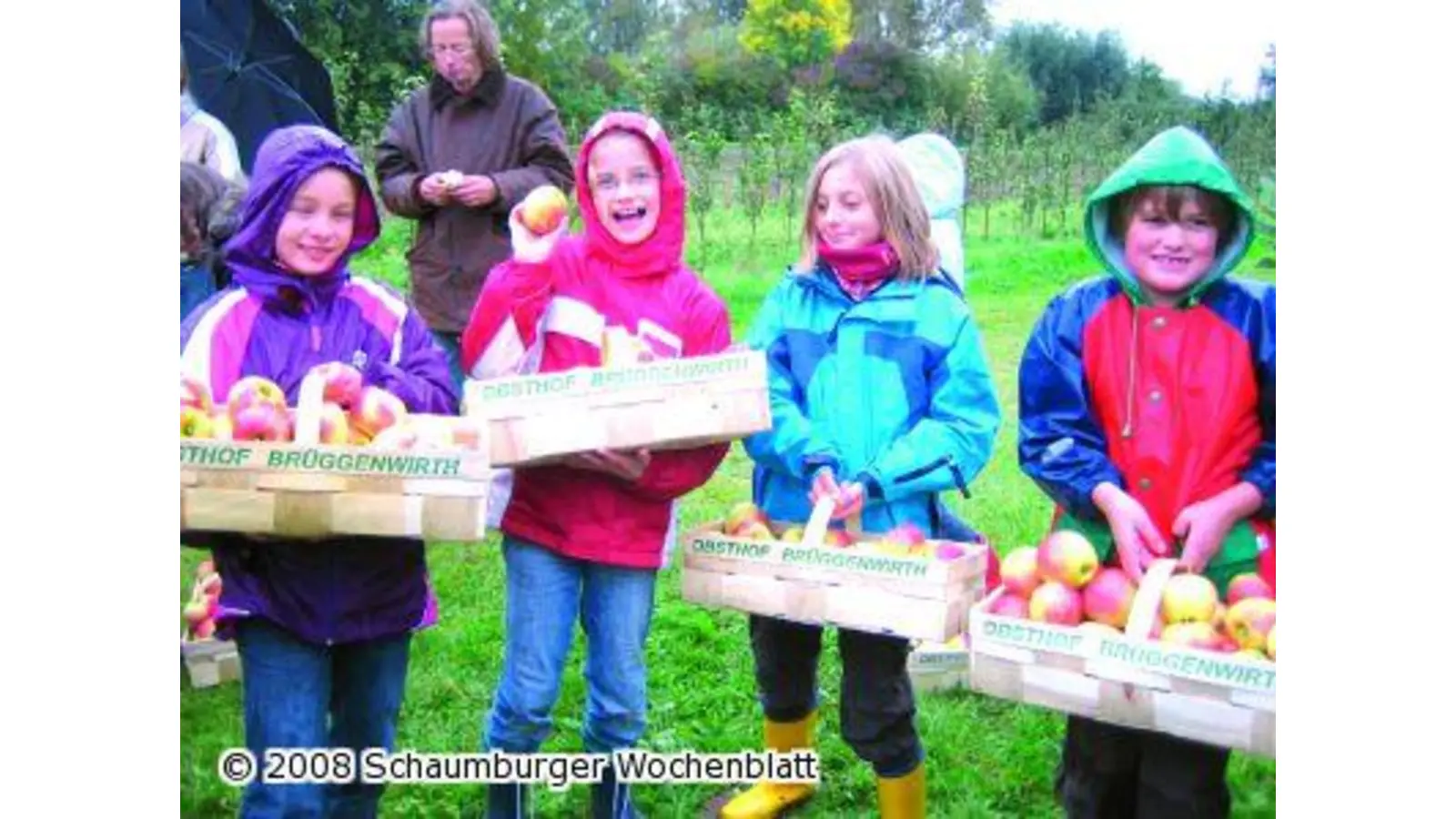 Kinder ernten ihre Äpfel selber (Foto: red)