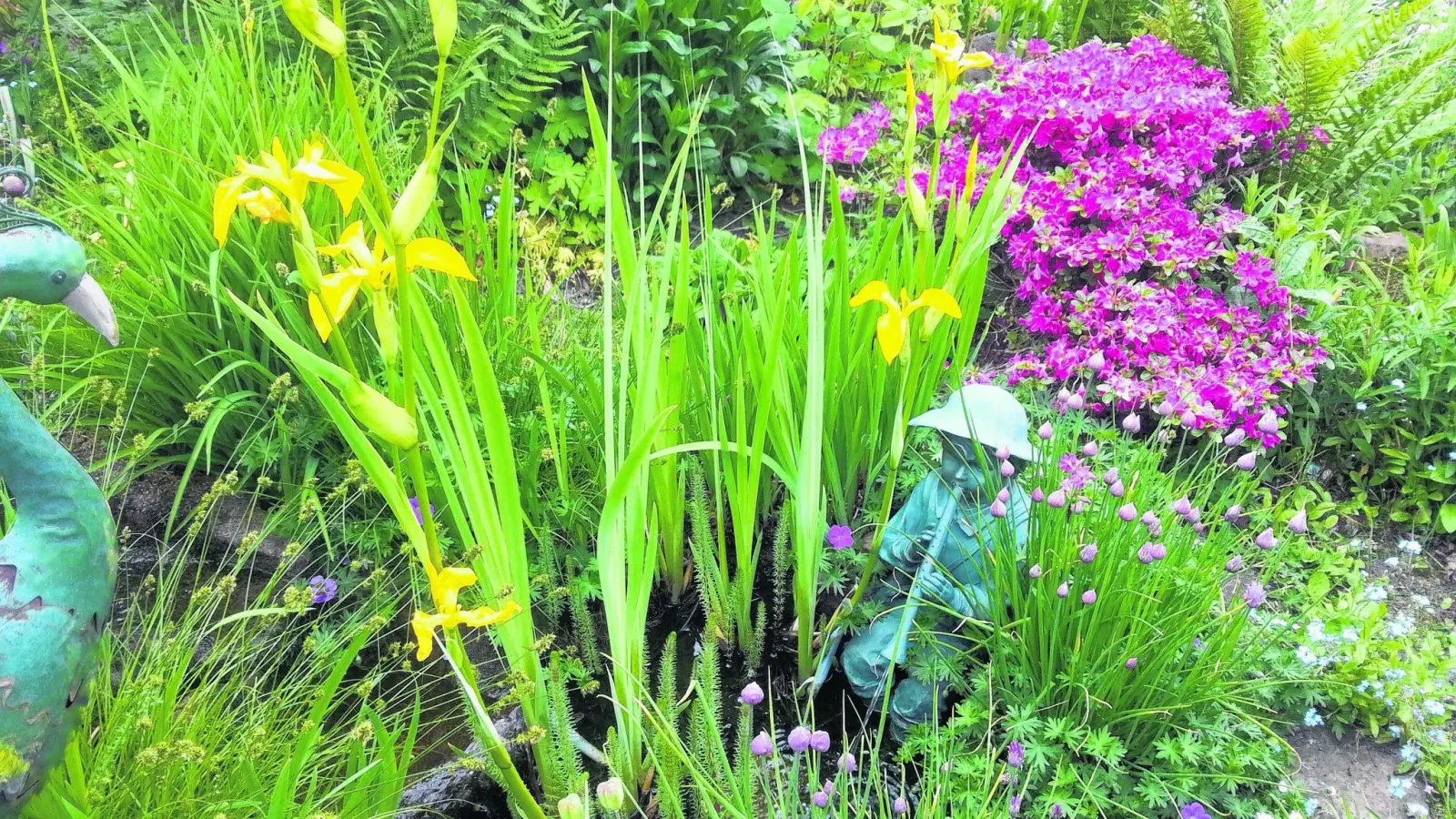 Besuch im Garten (Foto: mk)
