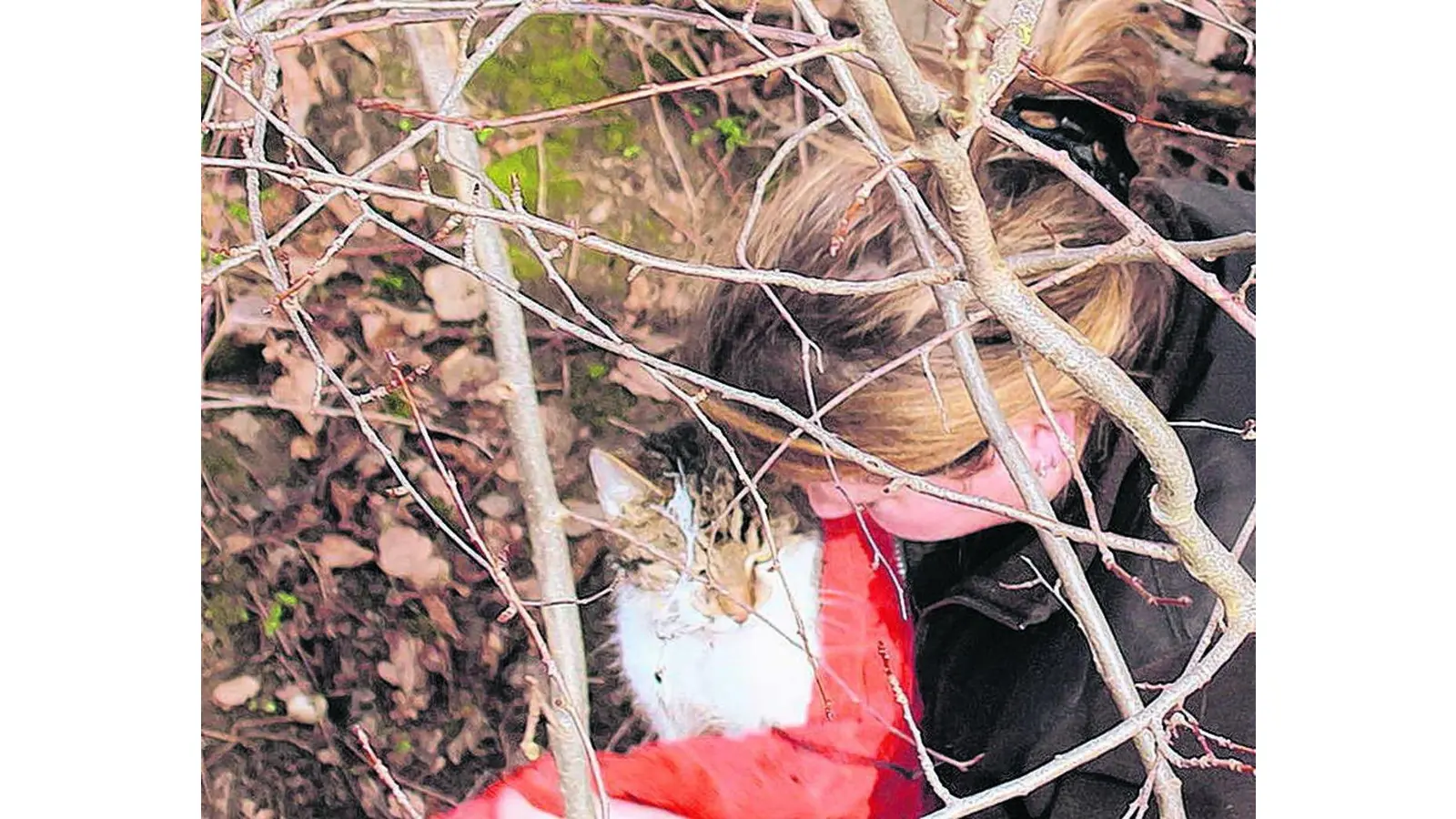 Feuerwehr rettet verletzte Katze (Foto: gi)