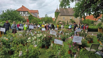Vom 23. Mai bis 25. Mai findet auf dem Rittergut Remeringhausen das „British Weekedn” statt.  (Foto: Pietsch)