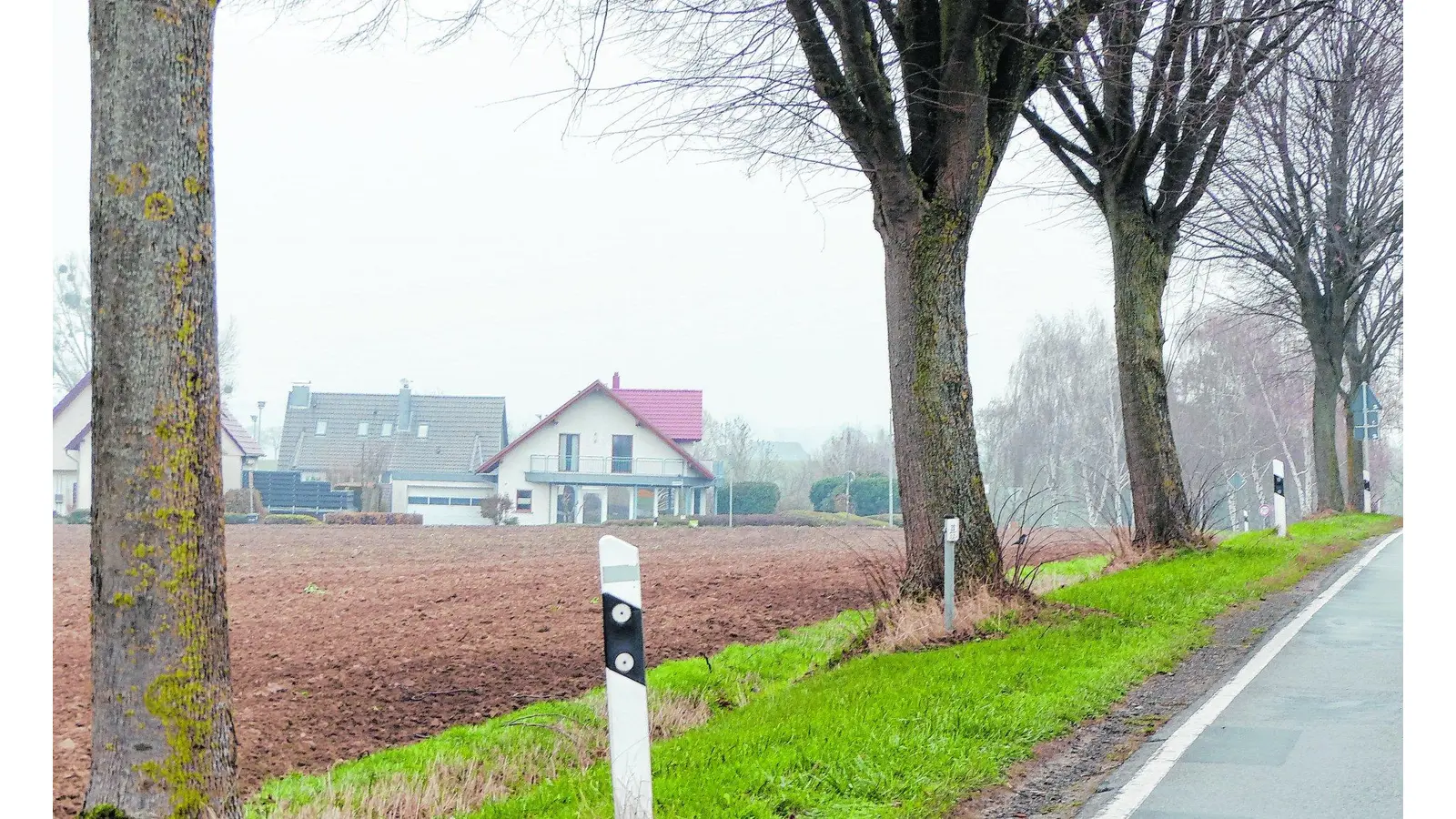 Weitere Schritte zu neuen Gebäuden (Foto: al)