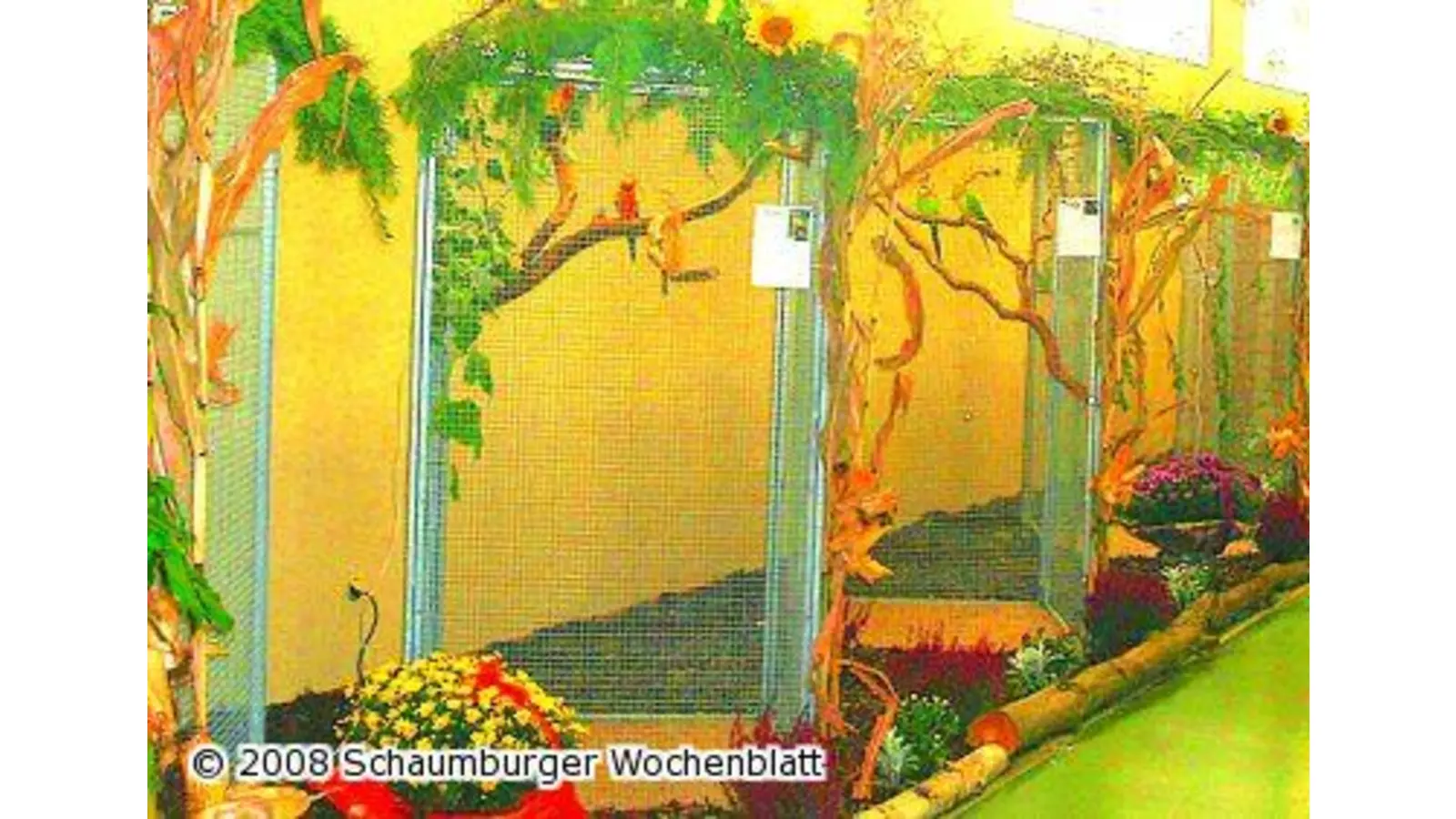 Die Vorbereitungen laufen auf Hochtouren (Foto: ste)