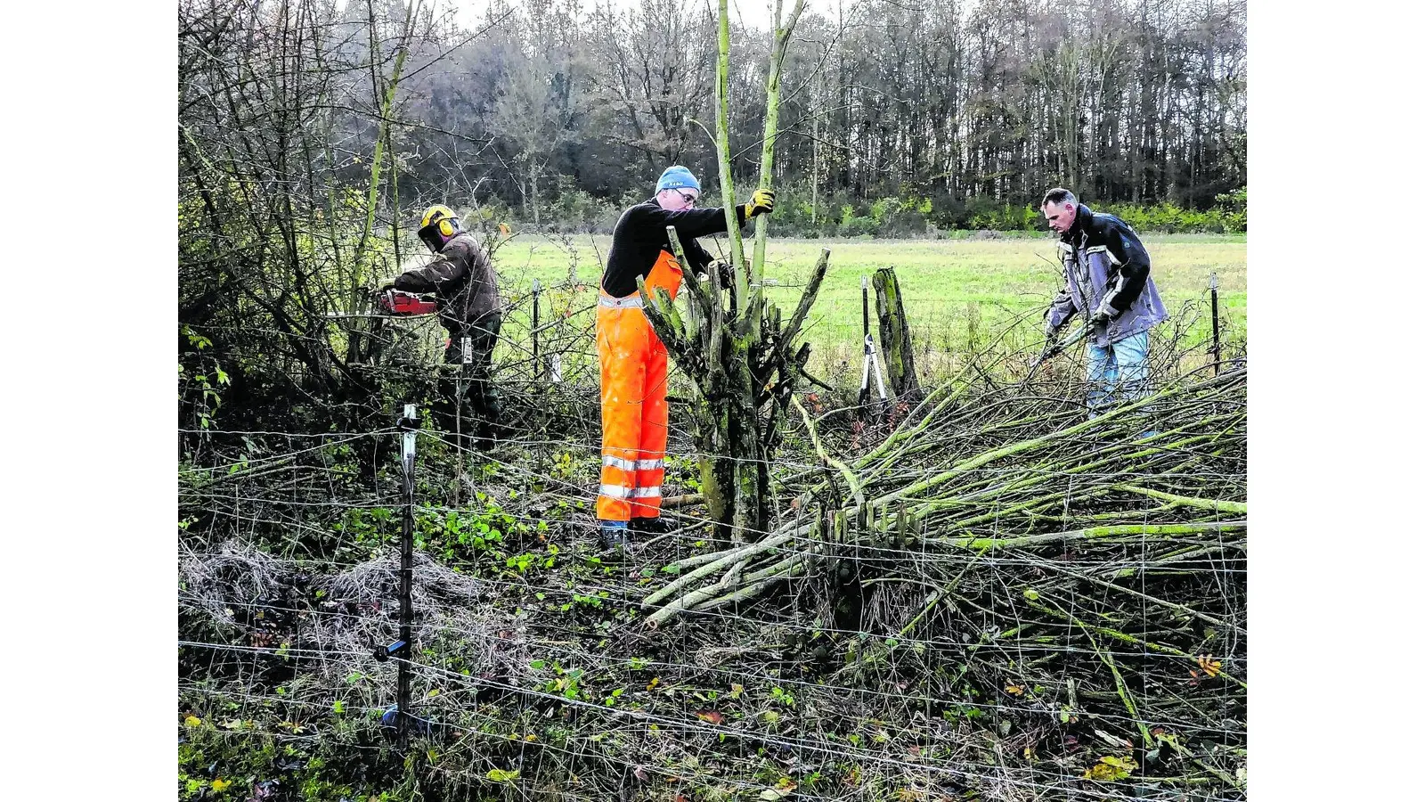Kulturlandschaft dauerhaft erhalten (Foto: red)