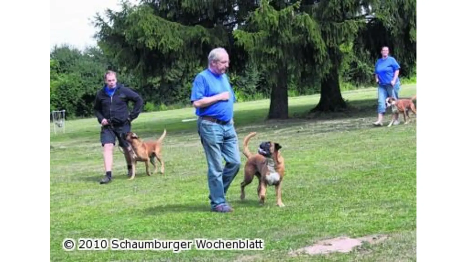 Sommerfest der Boxer-Freunde (Foto: tt)