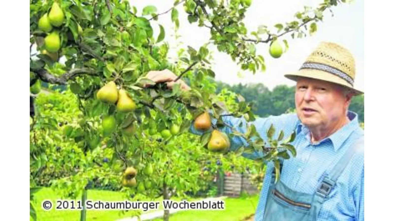 Der Veredelungskünstler mit viel Geduld und dem grünen Daumen (Foto: wa)