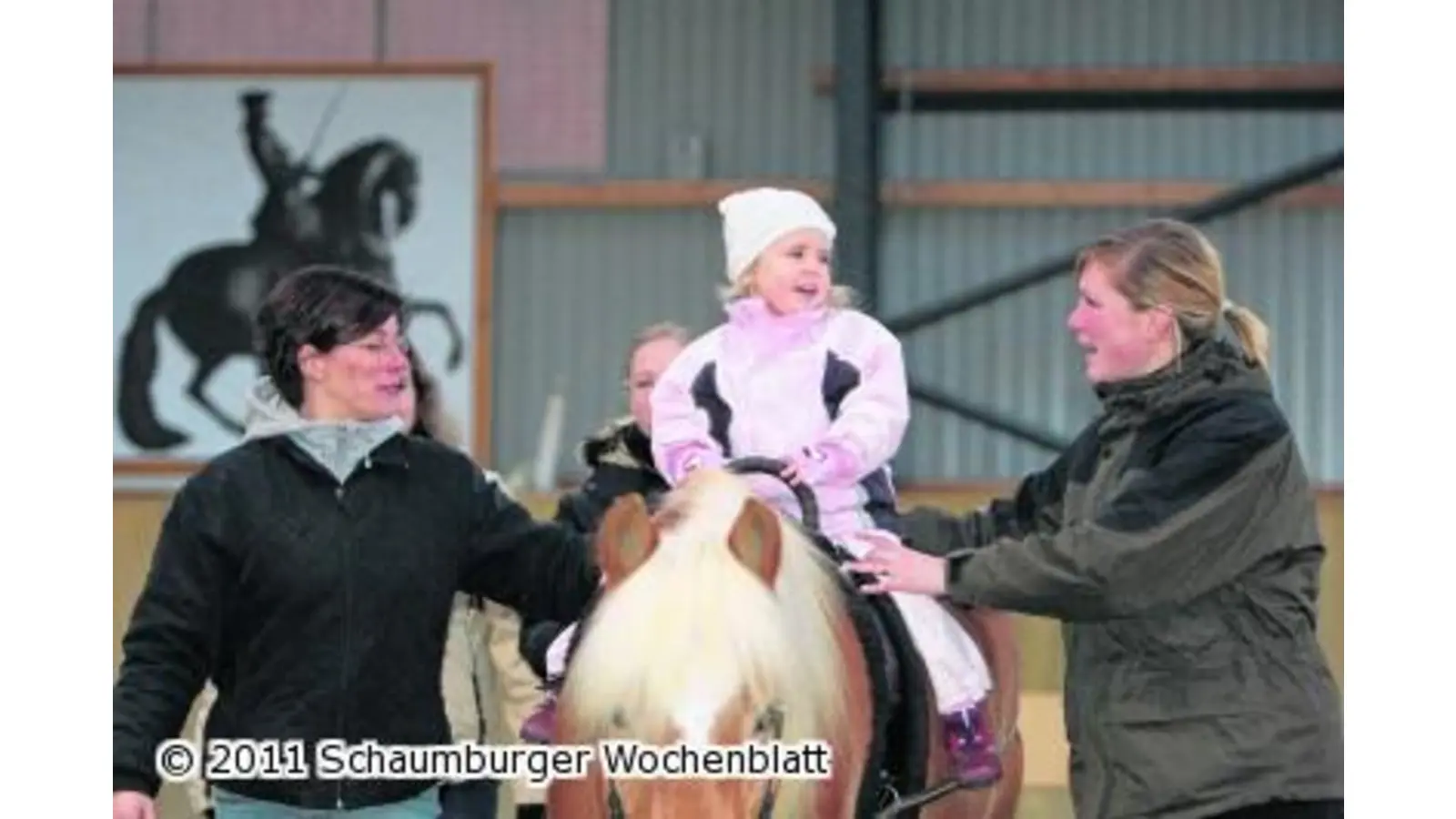 Teilnehmer für Pferdetherapie gesucht (Foto: em)