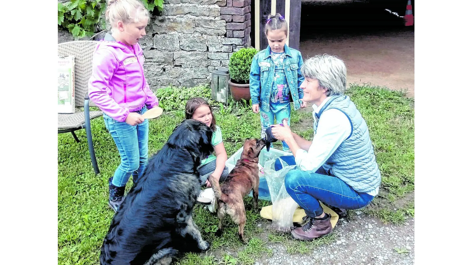 Ferientage auf dem Twelenhof (Foto: km)