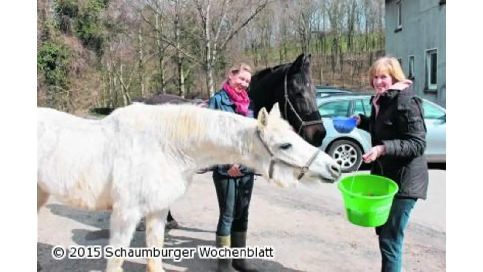 Anton aus Tirol weilt auf Gut Oelbergen (Foto: red)