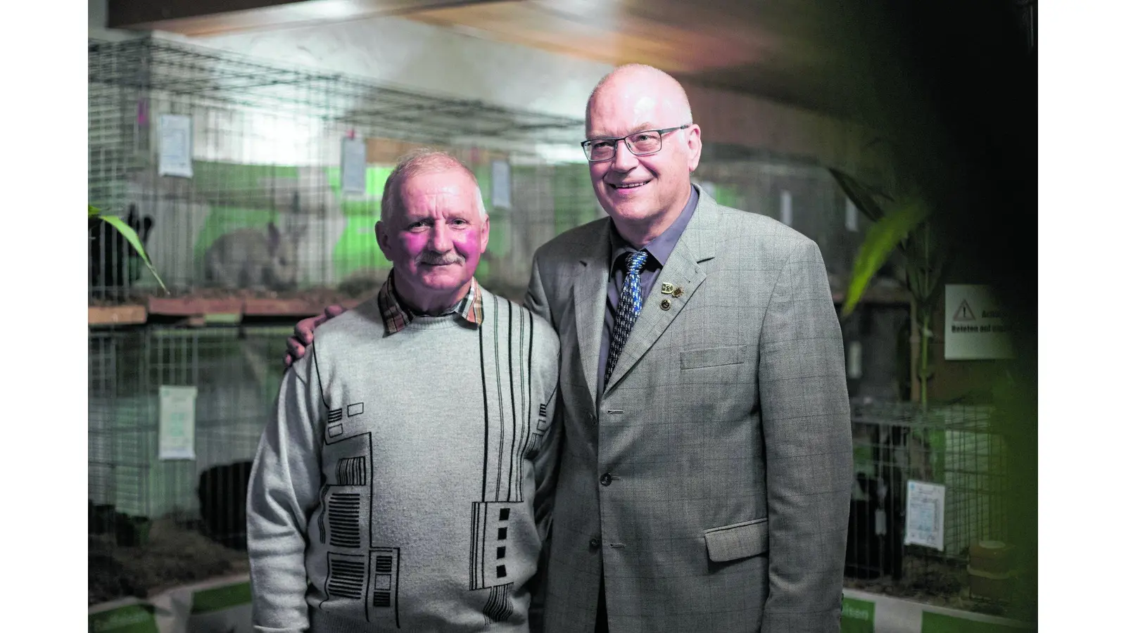Die Messenkämper züchten vorzüglich (Foto: jl)