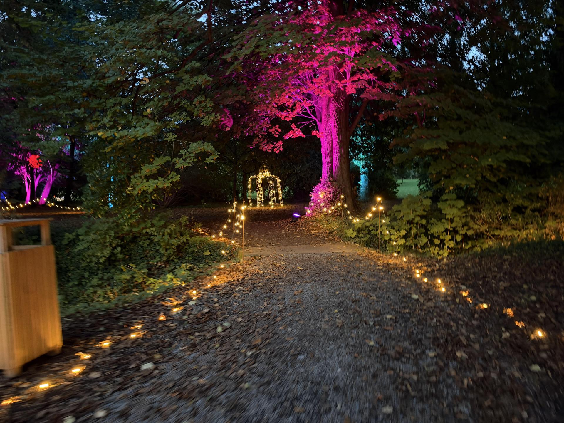 MärchenLichter (Foto: nd)