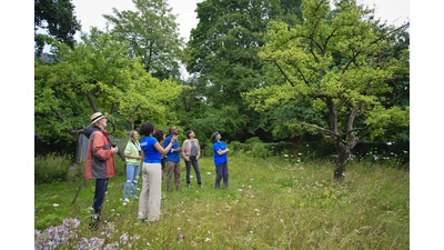 Die NABU-Ortsgruppe Stadthagen/Niedernwöhren lädt in Kooperation mit dem Wasser- und Bodenverband zum Baumpflegekurs.  (Foto: Nabu, Thomas Dröse)