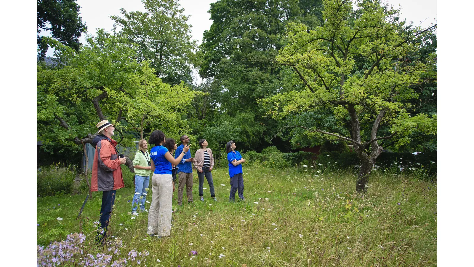 Die NABU-Ortsgruppe Stadthagen/Niedernwöhren lädt in Kooperation mit dem Wasser- und Bodenverband zum Baumpflegekurs.  (Foto: Nabu, Thomas Dröse)