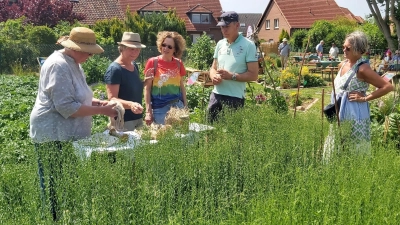 Bei einem Flachs- und Kartoffelfest werden Früchte der Bürgergärten groß herauskommen. (Foto: gk)