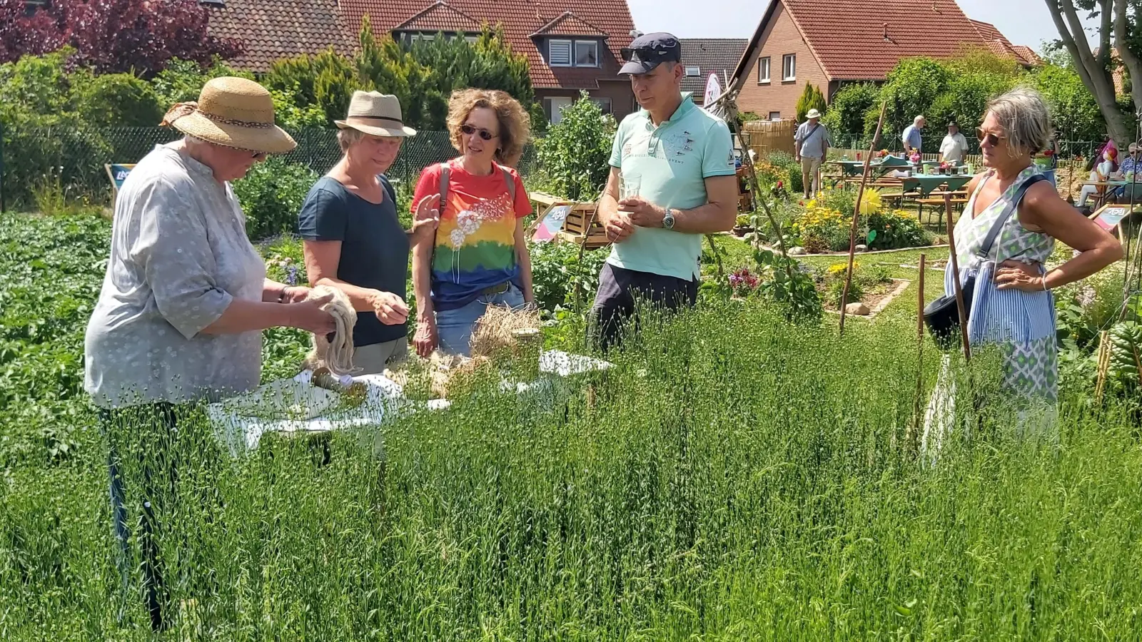 Bei einem Flachs- und Kartoffelfest werden Früchte der Bürgergärten groß herauskommen. (Foto: gk)