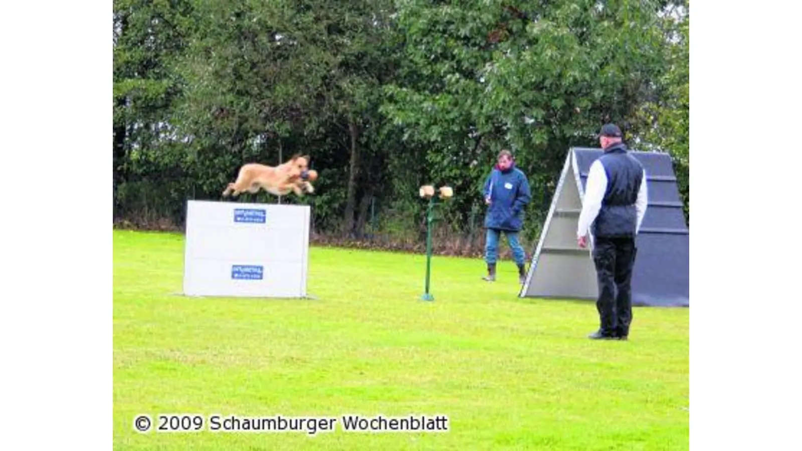Landesverbandssieger kommt aus der Kreisstadt (Foto: mk)